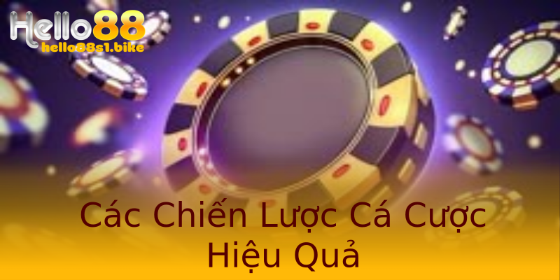 Các Chiến Lược Cá Cược Hiệu Quả Các Chiến Lược Cá Cược Hiệu Quả