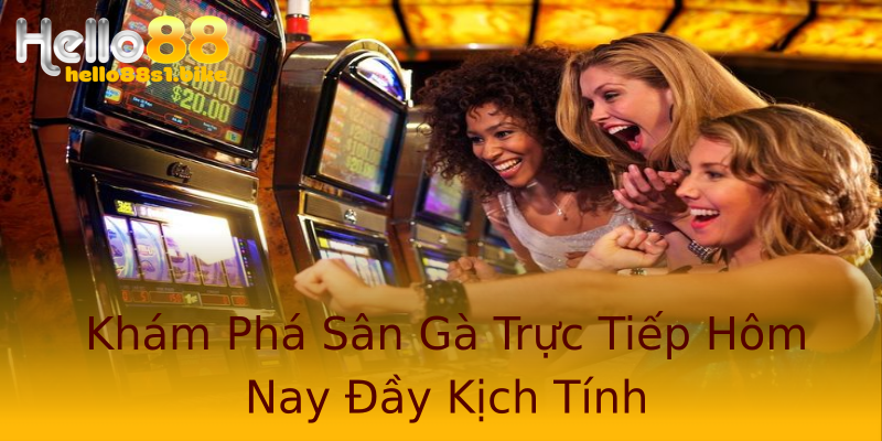 Khám Phá Sân Gà Trực Tiếp Hôm Nay Đầy Kịch Tính Khám Phá Sân Gà Trực Tiếp Hôm Nay Đầy Kịch Tính
