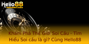 Kham Pha The Gioi Soi Cau Tim Hieu Soi Cau La Gi Cung Hello88