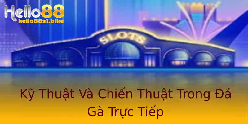 Kỹ Thuật Và Chiến Thuật Trong Đá Gà Trực Tiếp