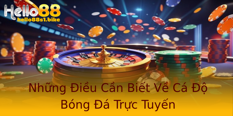 Những Điều Cần Biết Về Cá Độ Bóng Đá Trực Tuyến