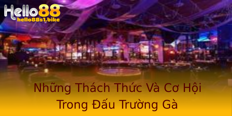 Những Thách Thức Và Cơ Hội Trong Đấu Trường Gà Những Thách Thức Và Cơ Hội Trong Đấu Trường Gà