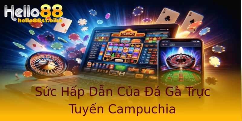 Sức Hấp Dẫn Của Đá Gà Trực Tuyến Campuchia