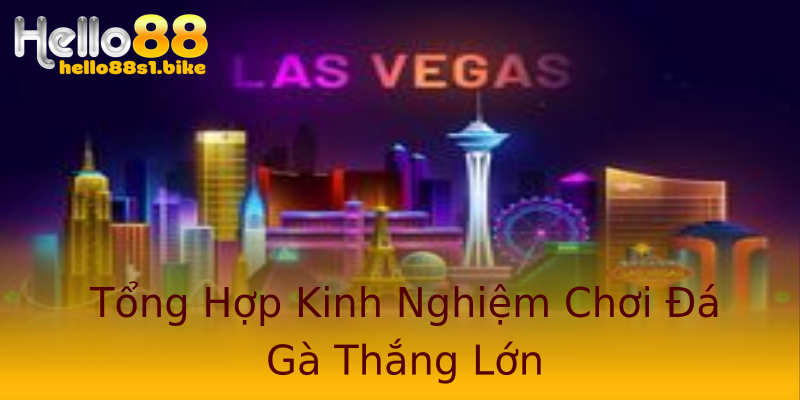 Tổng Hợp Kinh Nghiệm Chơi Đá Gà Thắng Lớn